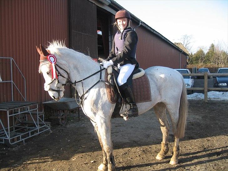 Hollandsk Sportspony Orlanda Downland (Himmelhest??) - 5-3-11    1. plads i LC i Bellinge billede 14