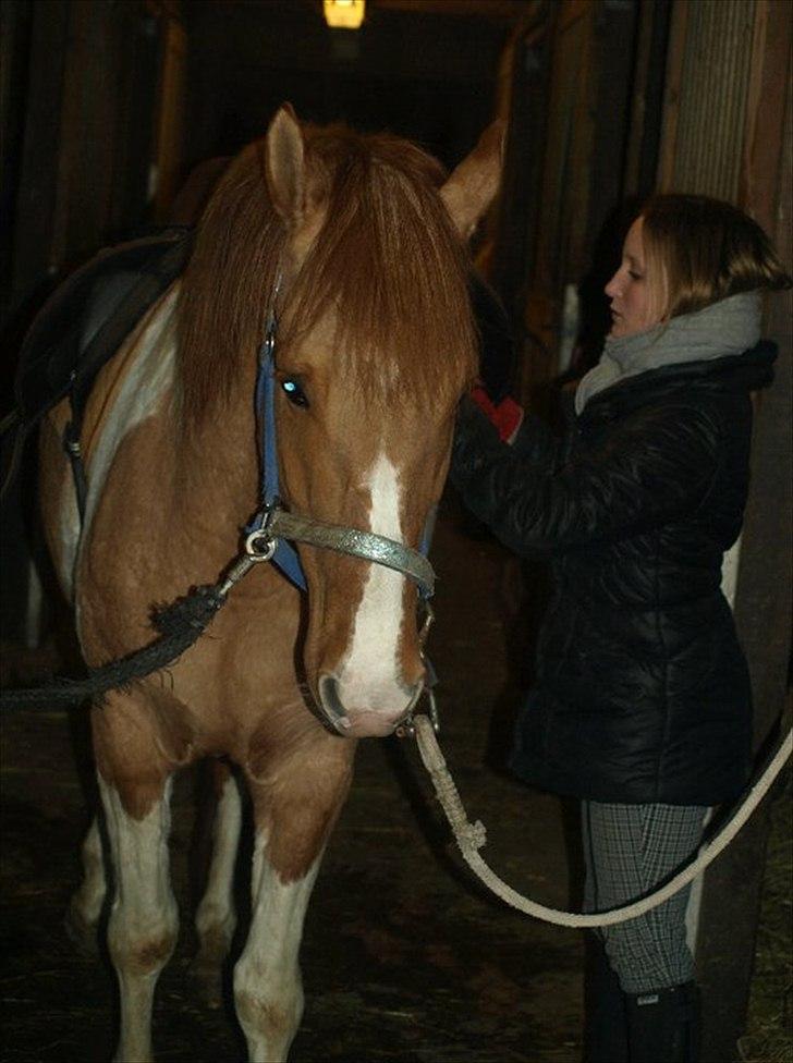 Anden særlig race Canupa ¤ - :i Der kommer flere billeder<3 Vi ses for denne gang:) billede 10
