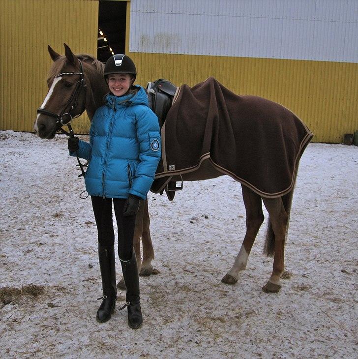 Anden særlig race Sunlight billede 2