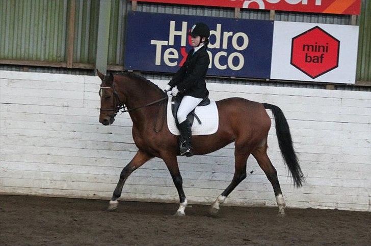 New Forest Thrustfull - Vores første stævne billede 14