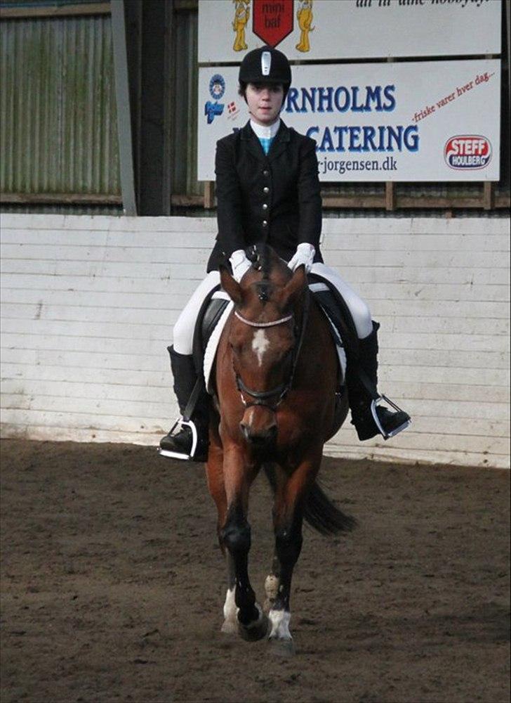 New Forest Thrustfull - første stævne billede 15