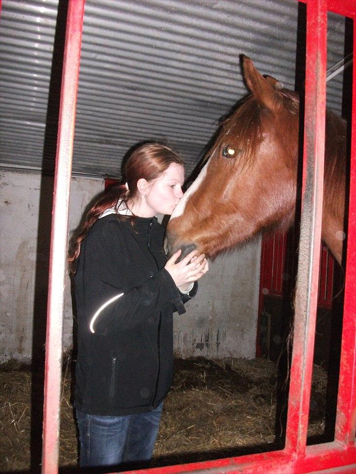 Anden særlig race Erika billede 3