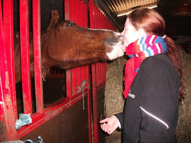 Anden særlig race Erika billede 4