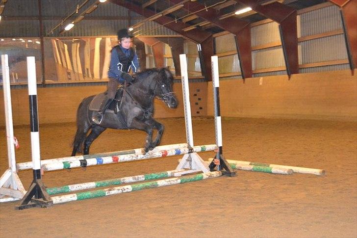 Welsh Pony (sec B) Papaya *R.I.P* - Undervisning ved Jimmi :) I spring <3 Stjerne pony!:*
Foto: Maiken Madsen billede 15