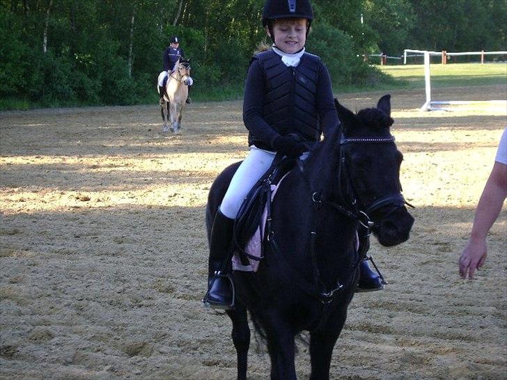 Welsh Pony (sec B) Papaya *R.I.P* - Opvarmning til vores første stævne sammen <3
Foto: Min far billede 12