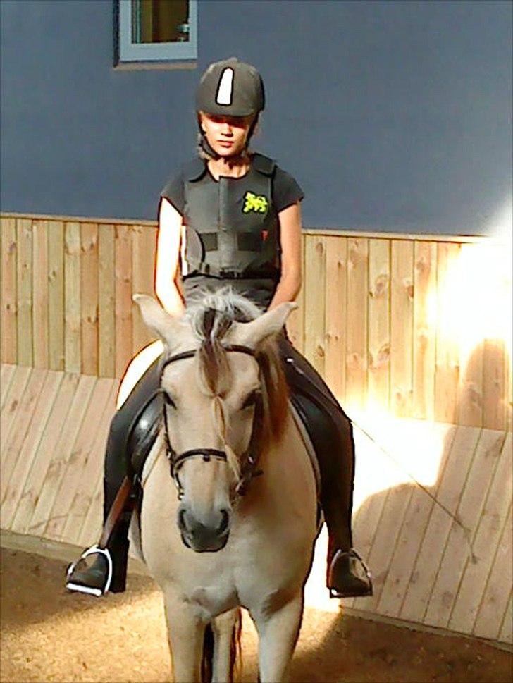 Fjordhest Højager's Lollypop [Tidl. passer] - Billede taget i 2009:) Det eneste billede med mig på ryggen! billede 9