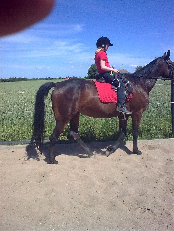 Traver Dresina billede 9