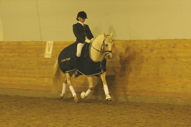 Tysk Sportspony FS Concorde SPH 179 R.I.P <3 - Præmieoverrækkelsen til Championatet 2010 billede 9