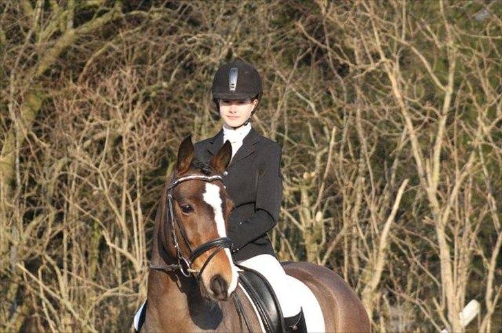 Anden særlig race Dream step *A- PONY!* - et af vores første stævner. (: billede 9