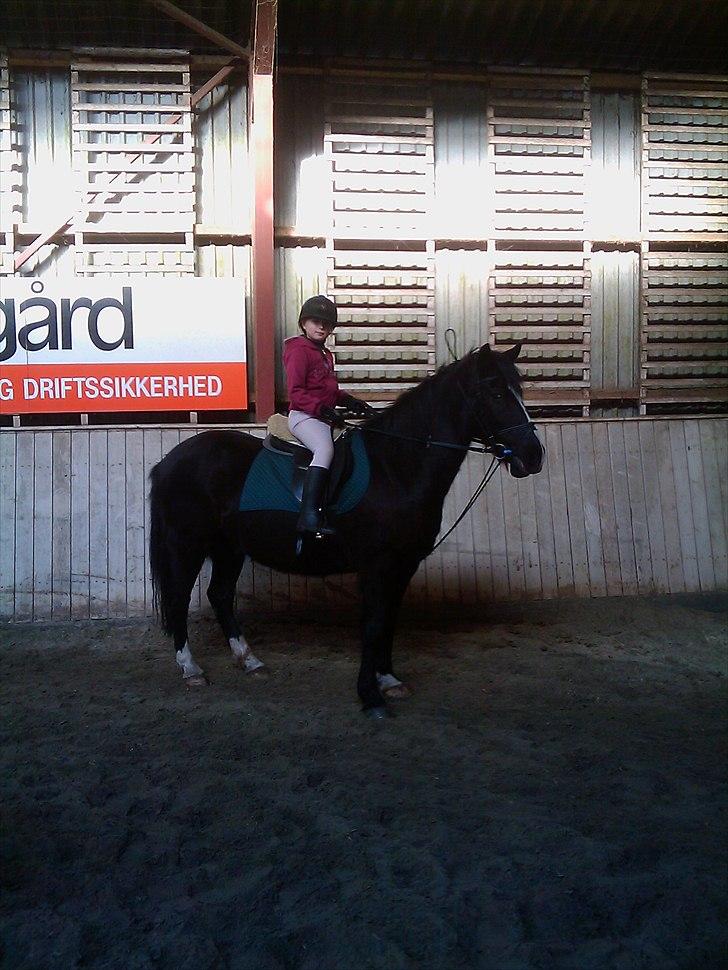 DSP Skovgårdens Sigma ( R.I.P) - Emma og Sigma billede 8