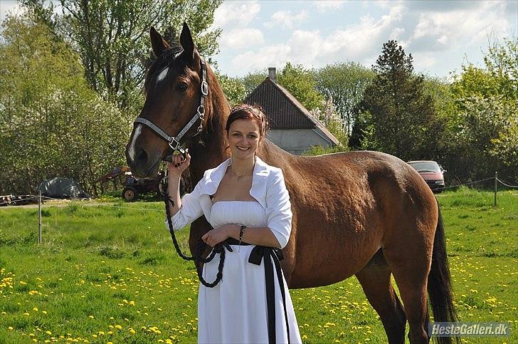 Dansk Varmblod Diamond [Tidl. Part] billede 6