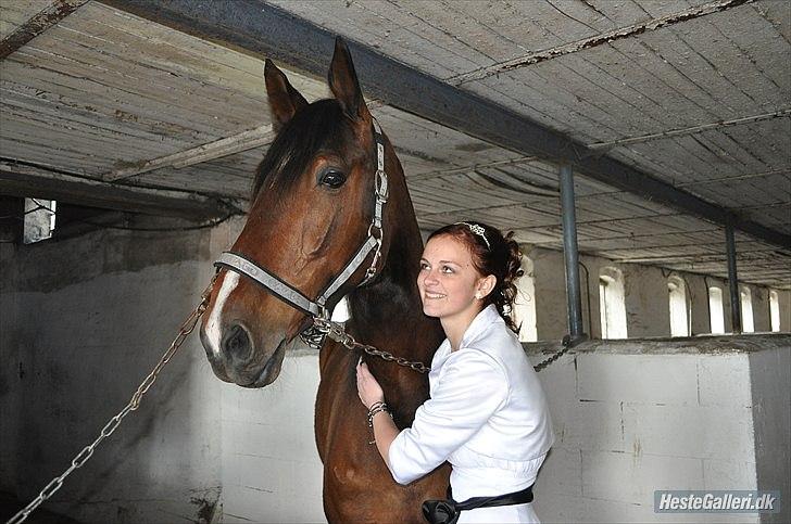 Dansk Varmblod Diamond [Tidl. Part] billede 11