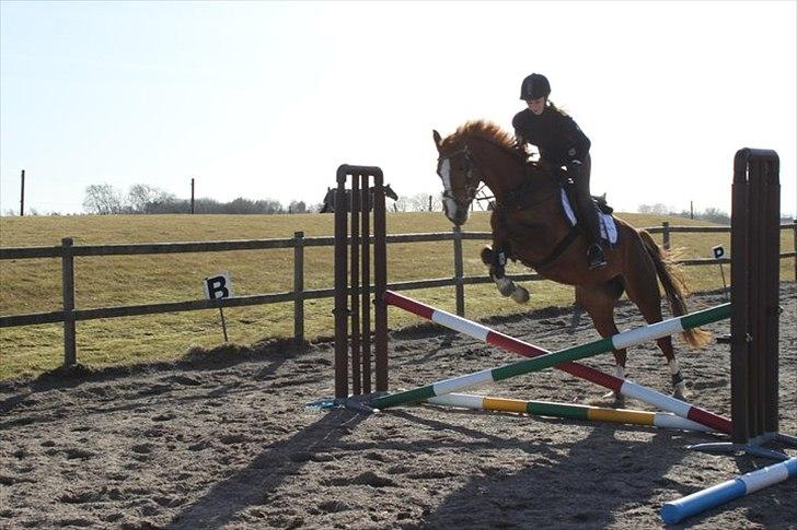 Anden særlig race Suspicious Firefly Flip SOLGT billede 15