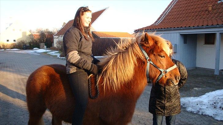 Islænder Raudstjarni ny-nørregård - NYT(; billede 10