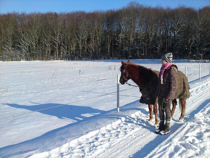 Anden særlig race Magic Mio! Altid gemt i hjertet. <3 - Look there!. billede 7