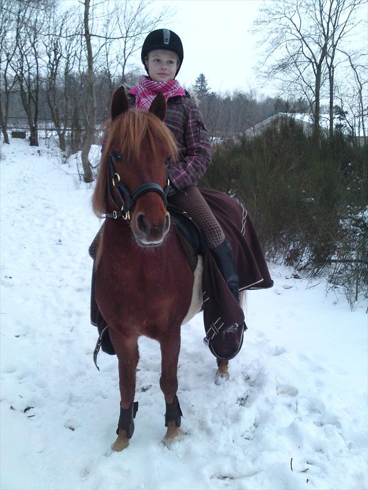 Anden særlig race Magic Mio! Altid gemt i hjertet. <3 - Snow:). billede 8