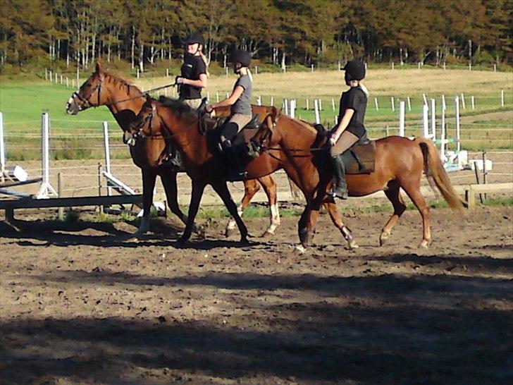 Anden særlig race Magic Mio! Altid gemt i hjertet. <3 - Gode tider, gode tider<3. billede 11