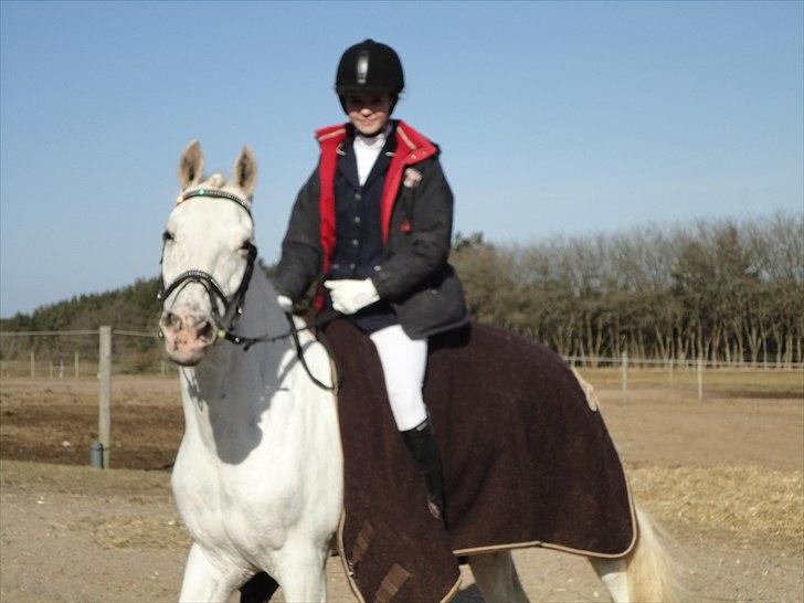 Knabstrupper Zeba ;D - Dressur stævne i Vestbirk rideklub billede 9