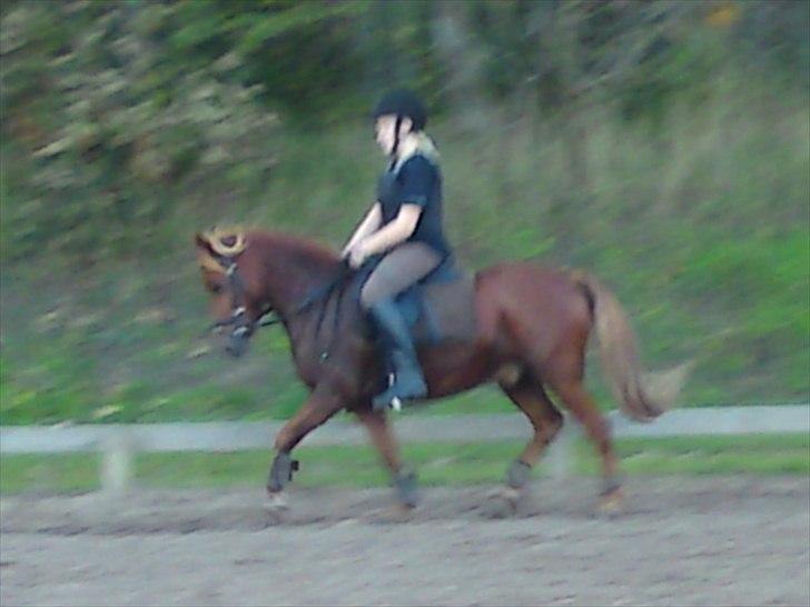 Anden særlig race Magic Mio! Altid gemt i hjertet. <3 - September 2010:). billede 13