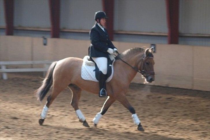 Anden særlig race Freja billede 2