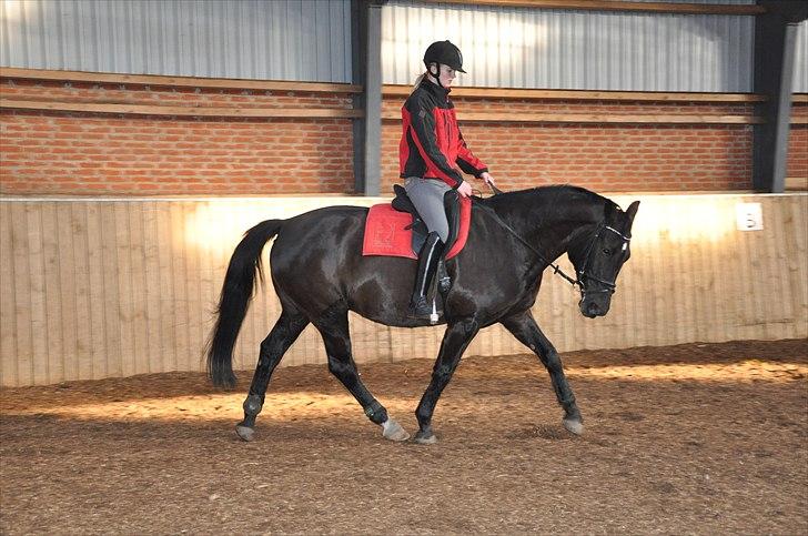 Oldenborg Cassiopeia (TUT) - Undervisning 8. marts 2011     Foto: www.lvh-foto.dk billede 6