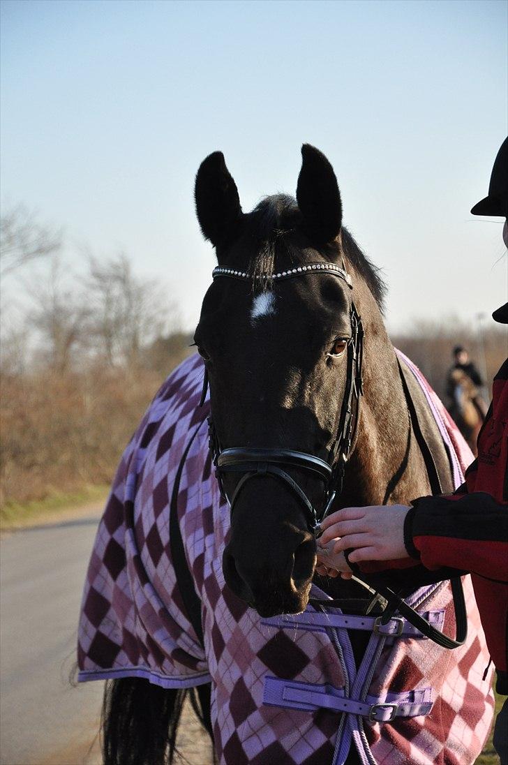 Oldenborg Cassiopeia (TUT) - På gåtur rundt om skolen!  Foto: www.lvh-foto.dk billede 8