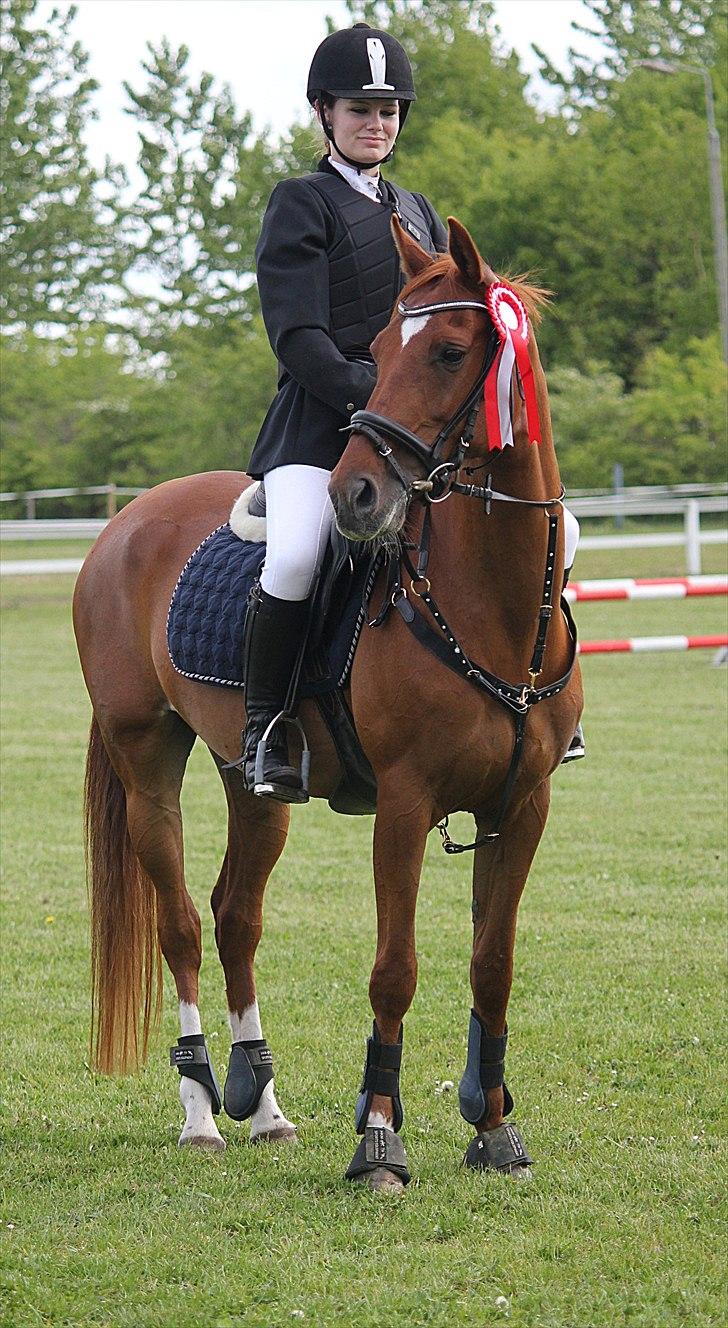 Hollandsk Sportspony Xana Maxima  - Dejlig tøs. :) 1 stævne sammen! Fotograf: Mia Vingtoft. - Tak! billede 15