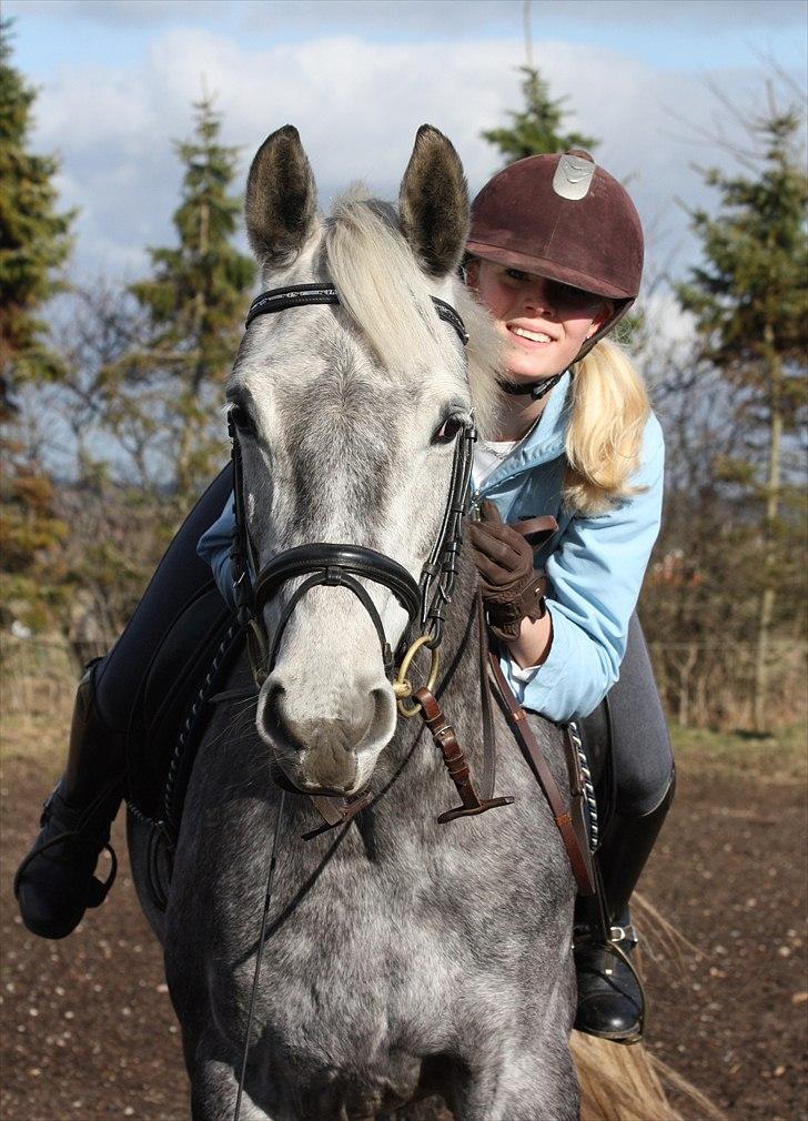 Dansk Varmblod Wanessa Køpke I - 29/3-2010    Foto: min mor med mit kamera billede 10