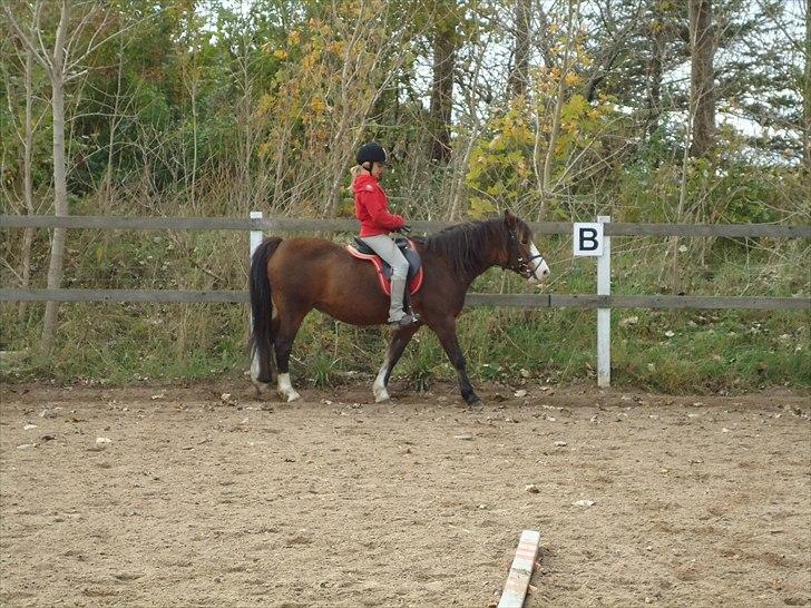 DSP Bibsen <3 - ved godt jeg sidder af lort, men det er nu et meget sødt billed :) billede 15