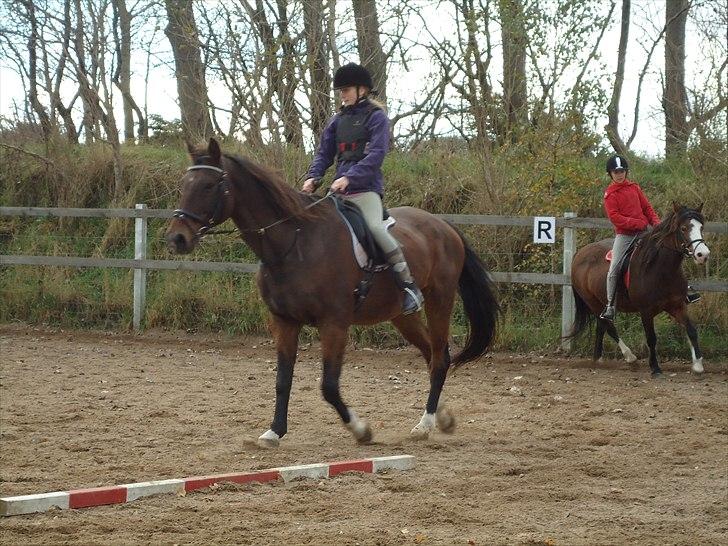 DSP Bibsen <3 - der var sq fart på! ;) billede 16