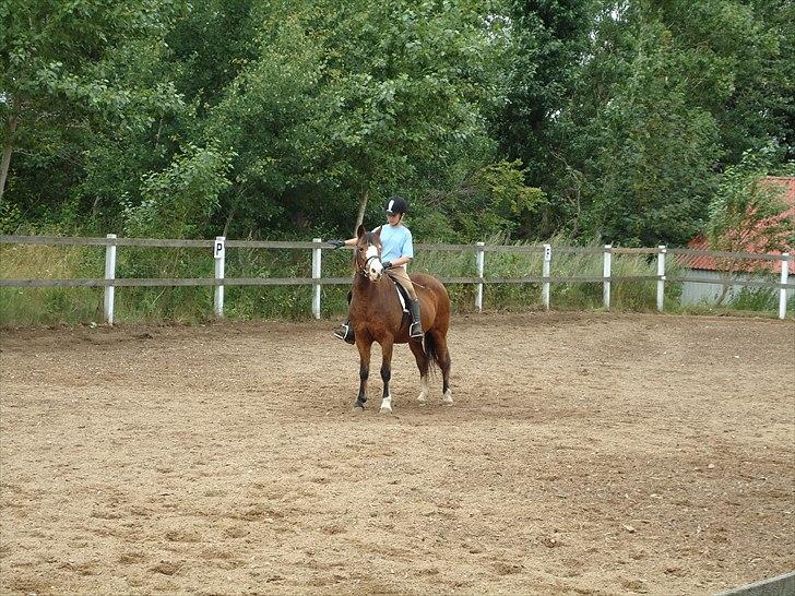 DSP Bibsen <3 - den yndigste starts parade til sommersjov <3 :D billede 20