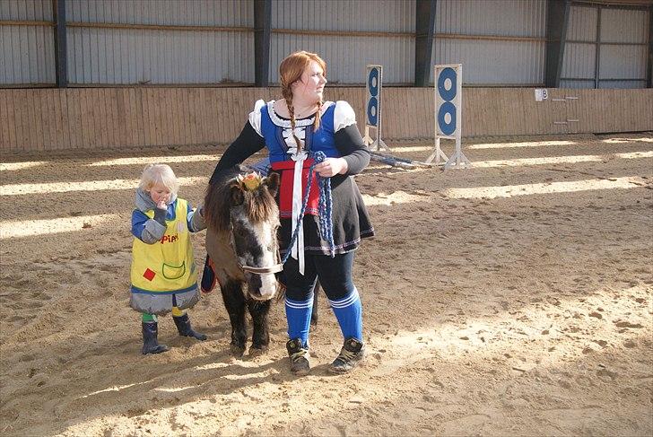 Anden særlig race Daisy billede 3