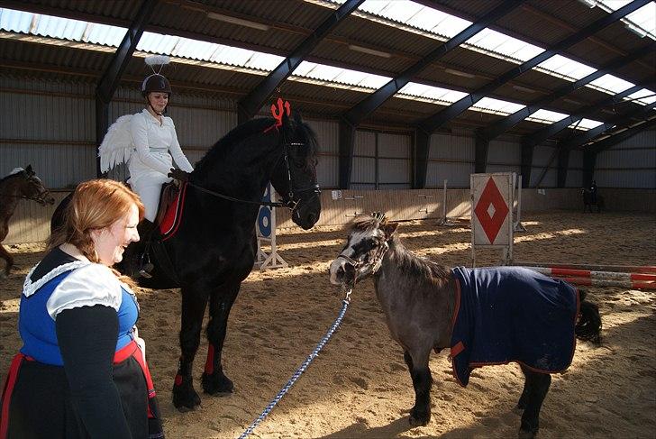 Anden særlig race Daisy billede 5