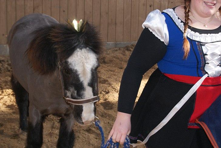 Anden særlig race Daisy billede 6