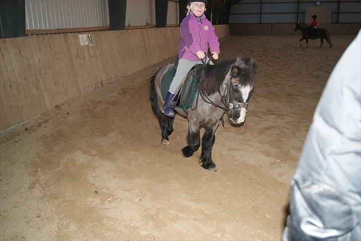 Anden særlig race Daisy billede 8