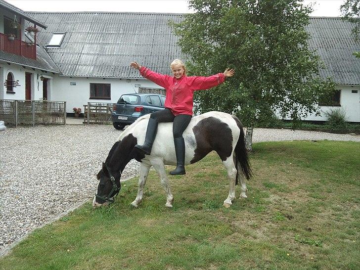 Anden særlig race Musse<33 solgt:'( *du vil altid være i mit hjerte* billede 11