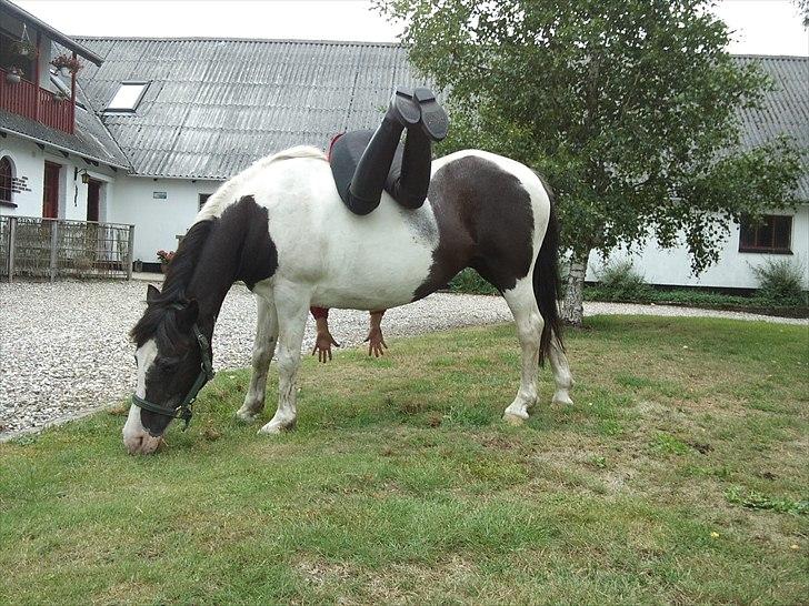 Anden særlig race Musse<33 solgt:'( *du vil altid være i mit hjerte* billede 12