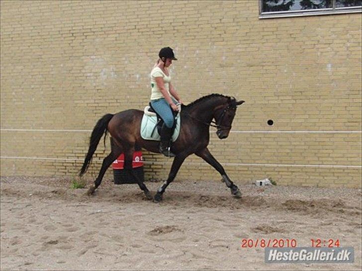 Anden særlig race Nalot - foto: mor billede 8