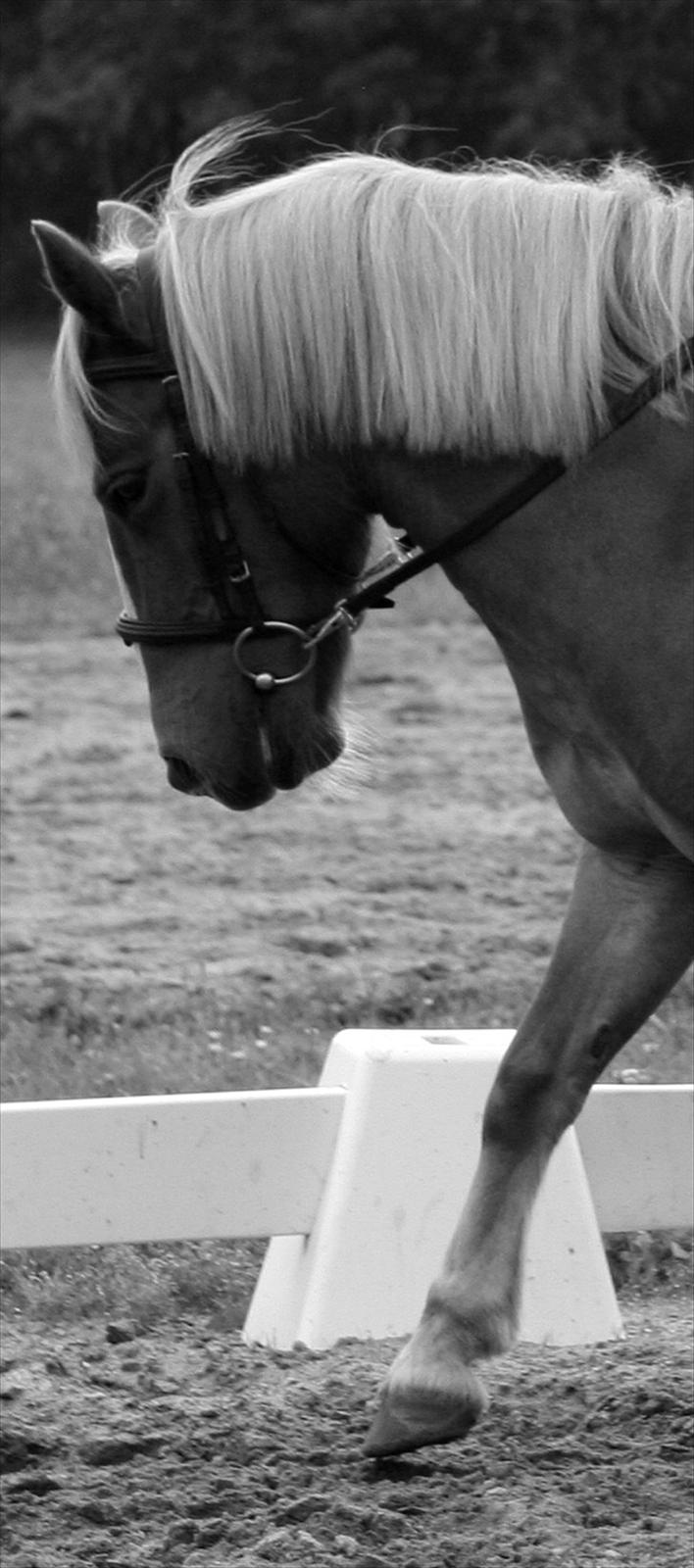 Anden særlig race Fie Gamle part:´) billede 11