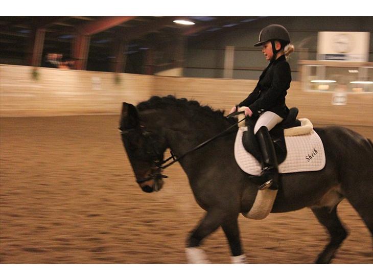 {{currentPhoto.altText}} billede {{currentPhoto.number}}