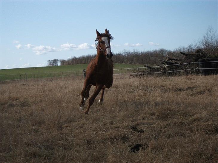 {{currentPhoto.altText}} billede {{currentPhoto.number}}