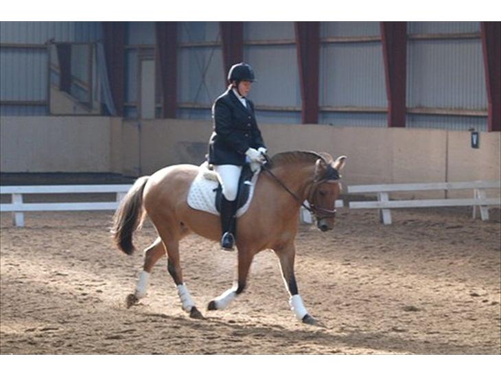 {{currentPhoto.altText}} billede {{currentPhoto.number}}