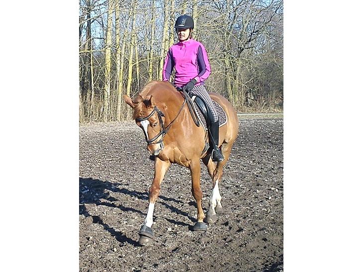 {{currentPhoto.altText}} billede {{currentPhoto.number}}