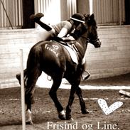 New Forest Firfod Frisind