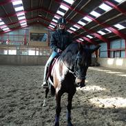 Anden særlig race kastanja