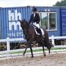 Hannoveraner Rubin Eg