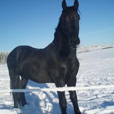 Frieser Eminenz af Hulkaer