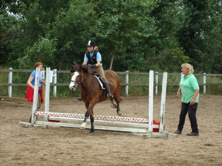 DSP Bibsen <3 - Springning til sommersjov ;) <3 billede 1