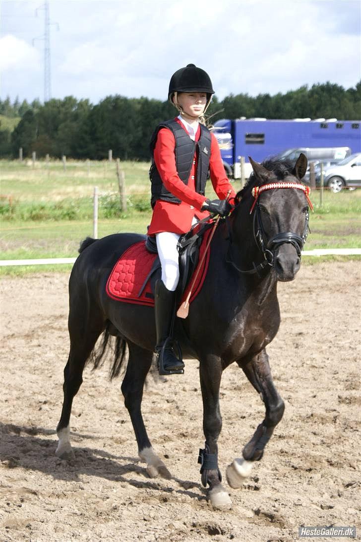 Anden særlig race Spunk(solgt) - min lille bassemand, med hans nye ejer Sofie..  billede 11