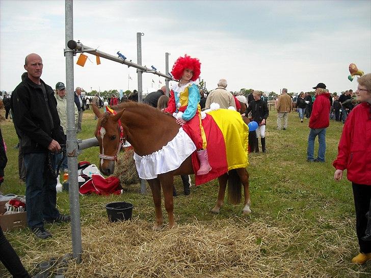 Anden særlig race Fanny - Vi var klædt ud som klovn billede 8
